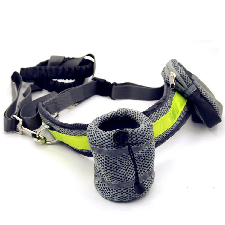 Freedom to Walk: Adjustable Hands-Free Dog Leash