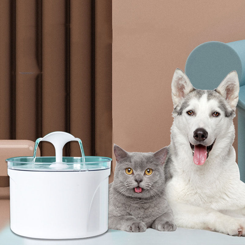 LED-Enhanced Automatic Pet Water Fountain for Pets