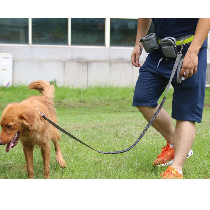Freedom to Walk: Adjustable Hands-Free Dog Leash