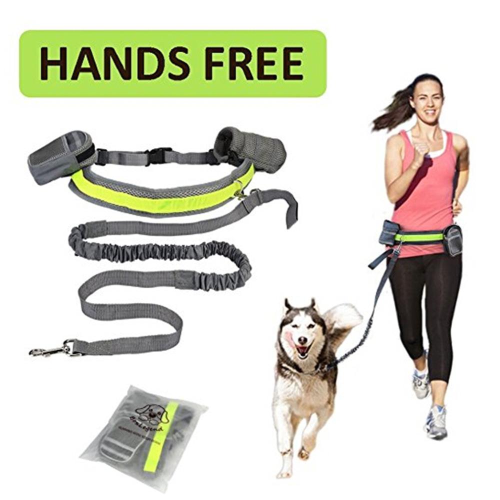 Freedom to Walk: Adjustable Hands-Free Dog Leash