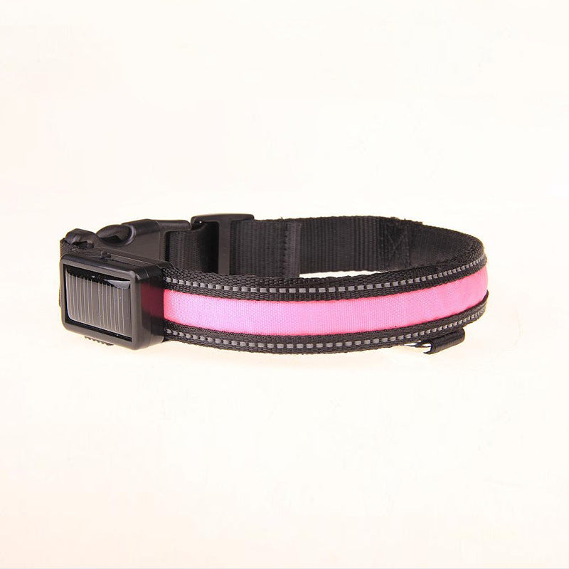 Solar LED Dog Collar – Adjustable, Waterproof, Rechargeable