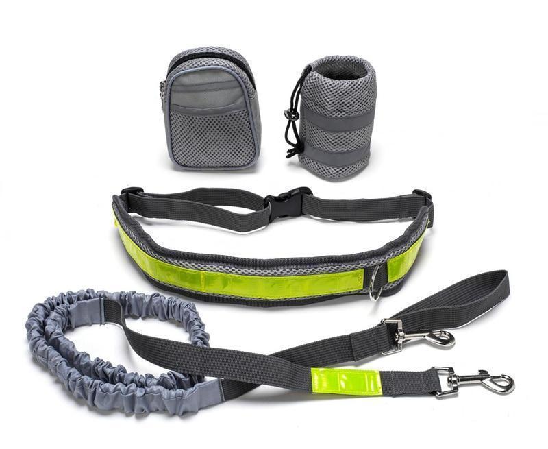 Freedom to Walk: Adjustable Hands-Free Dog Leash