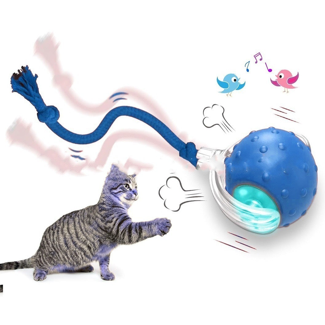 Interactive Cat Toy Ball – Self-Rolling Chasing Toy for Cats