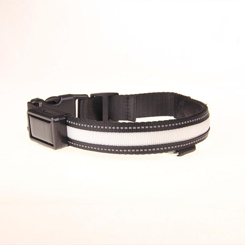 Solar LED Dog Collar – Adjustable, Waterproof, Rechargeable