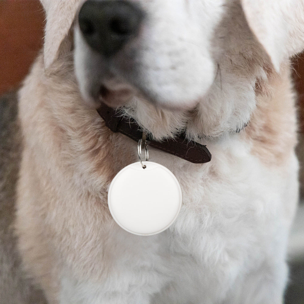 Pet GPS Tracker Keychain – Never Lose Track Again
