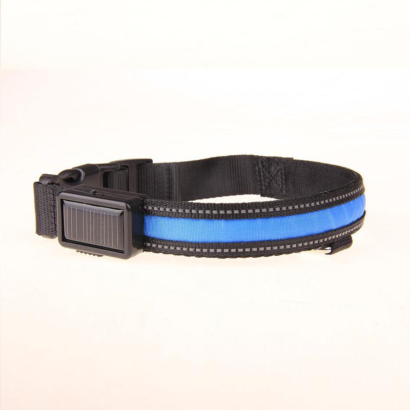 Solar LED Dog Collar – Adjustable, Waterproof, Rechargeable