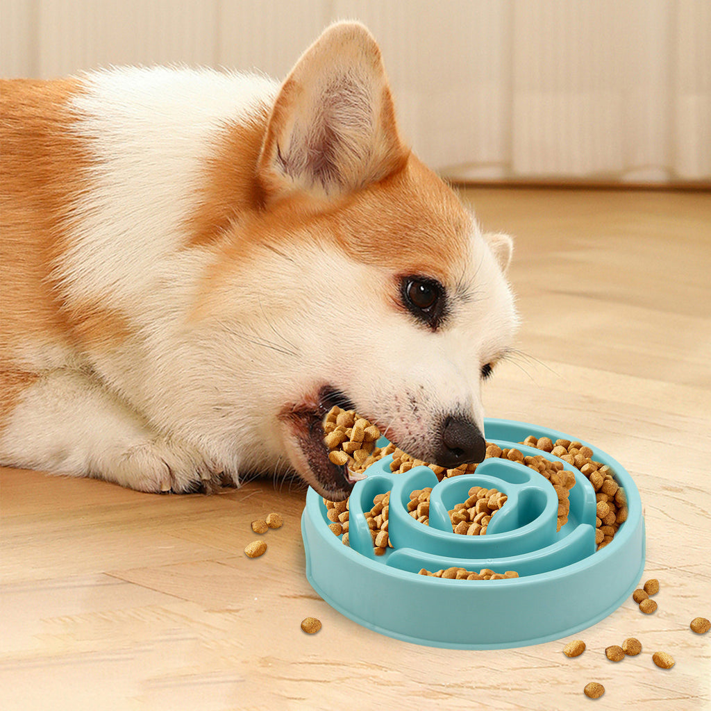 Silicone Slow Feeder Dog Bowl for Healthy Chewing & Digestion