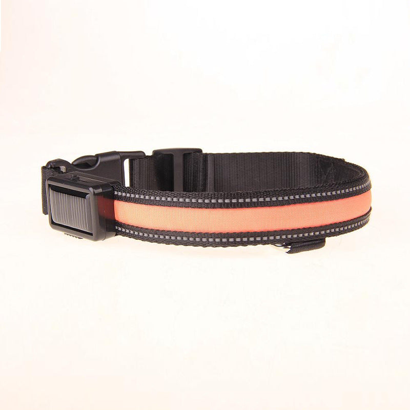Solar LED Dog Collar – Adjustable, Waterproof, Rechargeable
