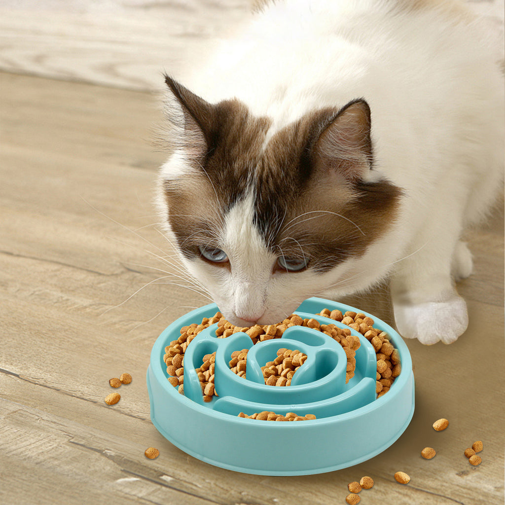 Silicone Slow Feeder Dog Bowl for Healthy Chewing & Digestion