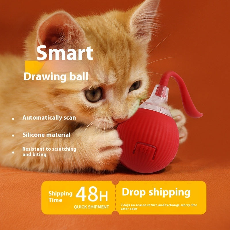 Interactive Cat Toy Ball – Self-Rolling Chasing Toy for Cats