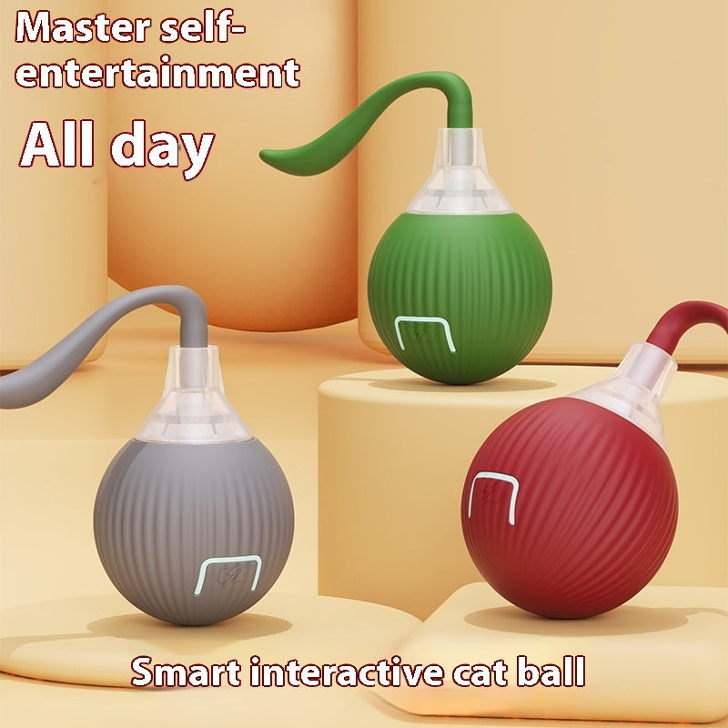 Interactive Cat Toy Ball – Self-Rolling Chasing Toy for Cats