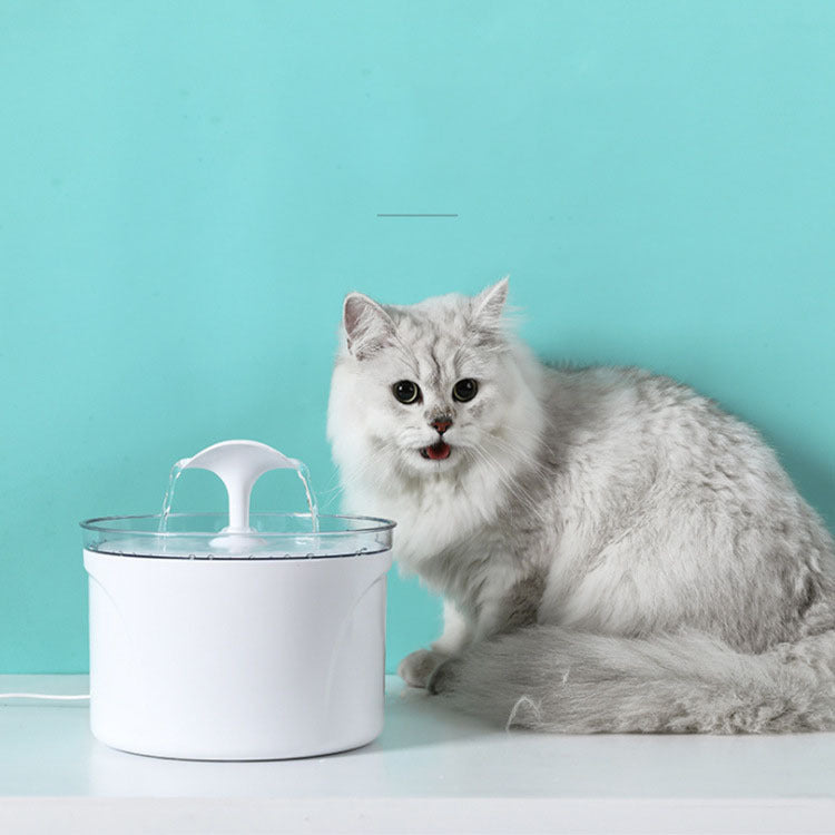 LED-Enhanced Automatic Pet Water Fountain for Pets