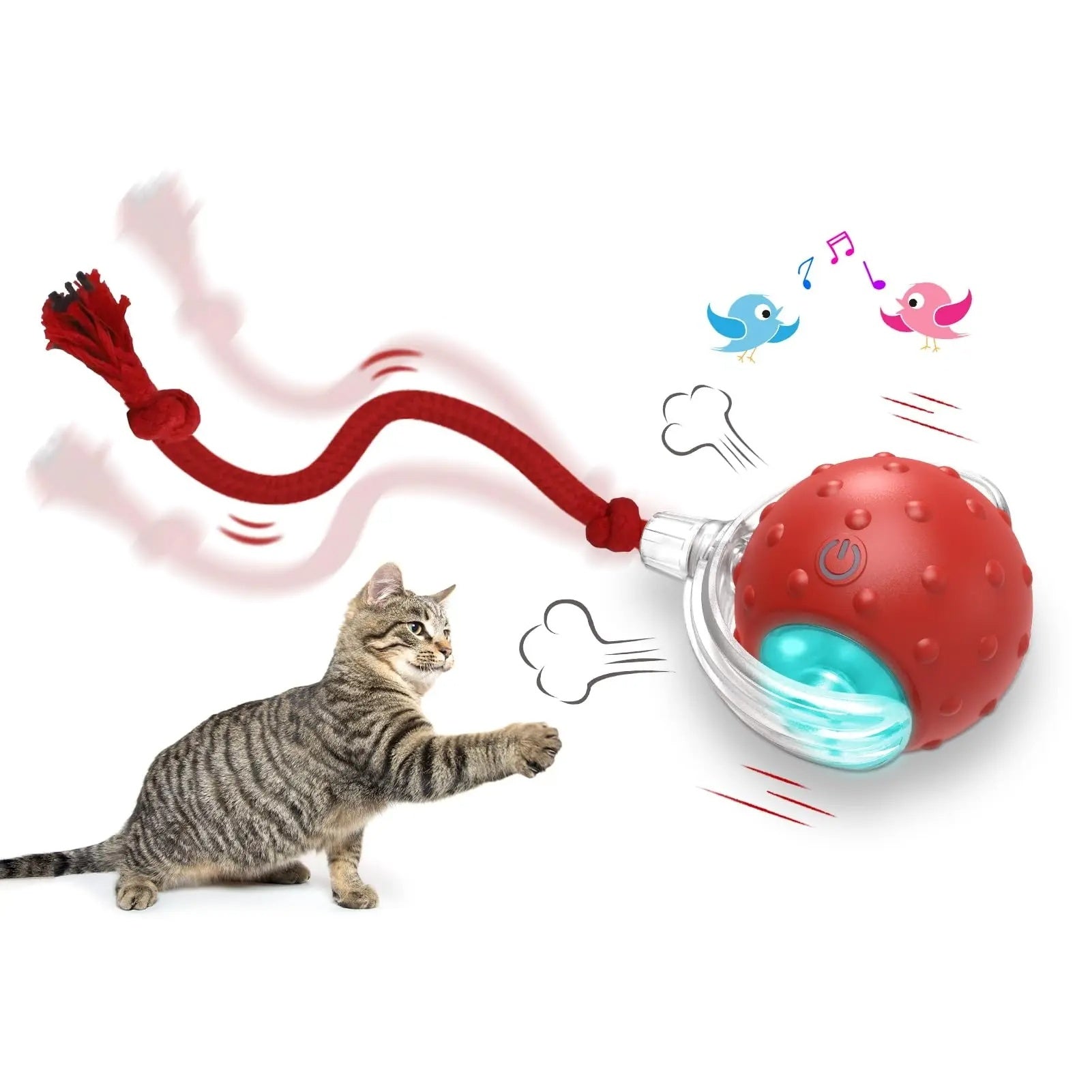 Interactive Cat Toy Ball – Self-Rolling Chasing Toy for Cats